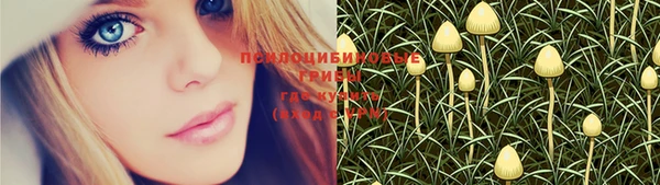 тгк Няндома